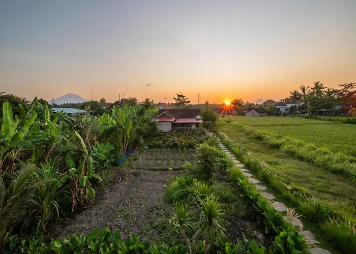 Terranea - Peaceful Haven Ubud